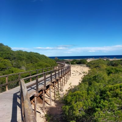 Playa Cerca de los Arenales – Ontdek Spanje Playa Cerca de los Arenales - Ontdek Spanje