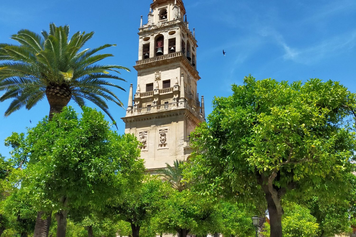 Cordoba – Ontdek Spanje Cordoba - Ontdek Spanje