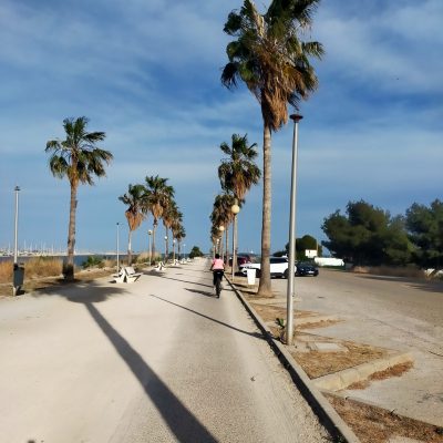 Albufera - Valencia - Ontdek Spanje