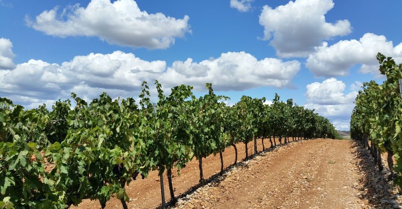 La Rioja - Ontdek Spanje