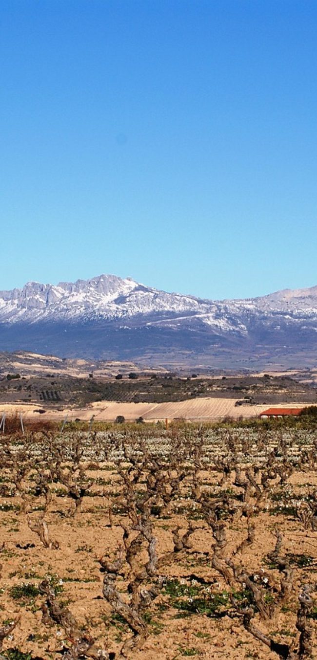 Logroño La Rioja - Ontdek Spanje