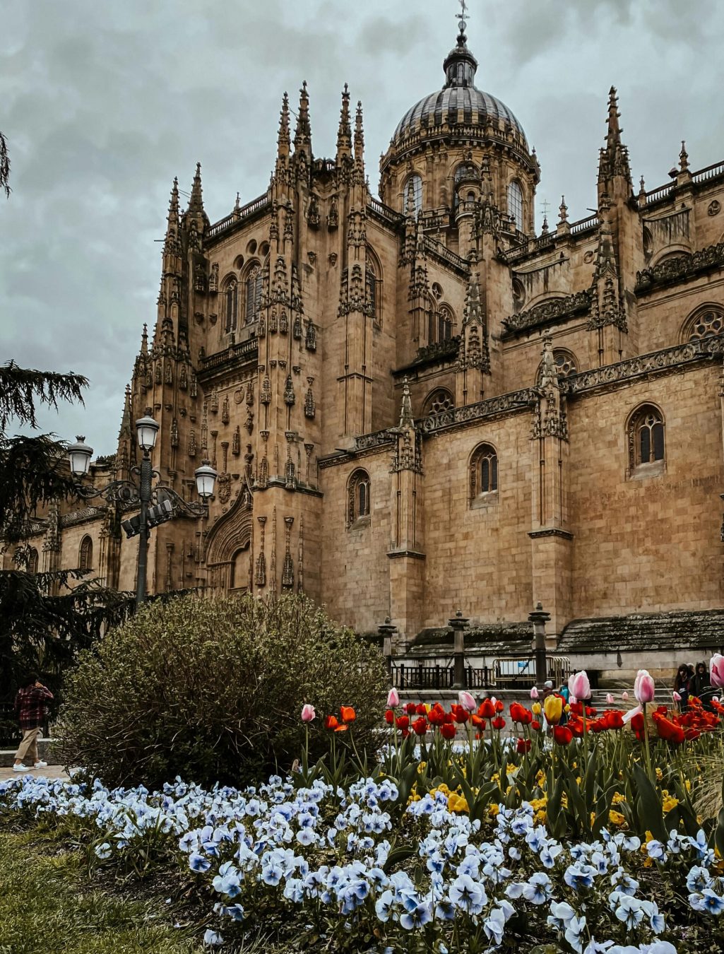 Beautiful view of a historic Gothic cathedral in Salamanca with a vibrant spring flower garden.