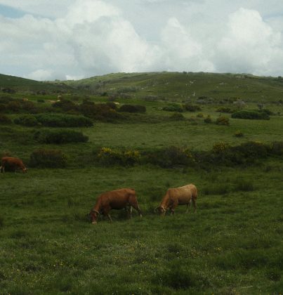 Ourense Galicië - Ontdek Spanje