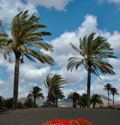 Tenerife - Ontdek Spanje